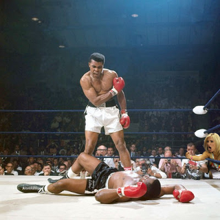 Illustration for article titled Roundup: Your Best Bird-Flipping Miami Fan Photoshop Contest Entries